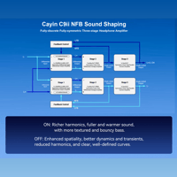 Cayin C9ii Titanium Color Edition variant 15