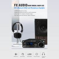 FX Audio D01 variant 9