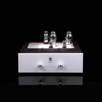 SW1x AMP IV “Aura” Integrated Amplifier variant 1