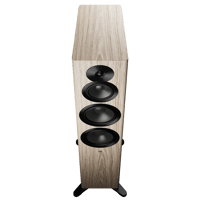 Dynaudio Focus 50 variant 15