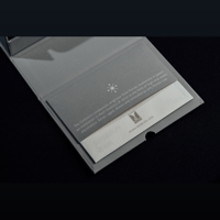 DITA Audio The Celeste variant 5