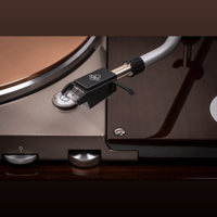 Thorens TD 124 DD Exclusive variant 7