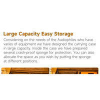 Cayin Cayin Multifunctional Carrying Case variant 7