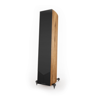 Acoustic Energy corinium variant 20