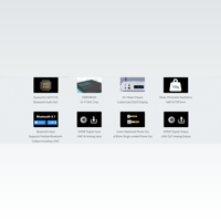 Cayin BTC-2 variant 2