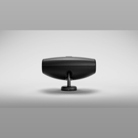 Sonus Faber Aster variant 7