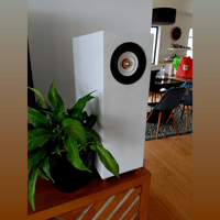 Neil Blanchard Designs WB4 Mass Loaded Transmission Line Speaker Build Manual variant 14