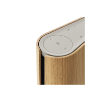 B&O-Bang & Olufsen  Beosound Emerge variant 6