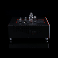 SW1x AMP V “Jupiter” Integrated Amplifier variant 3