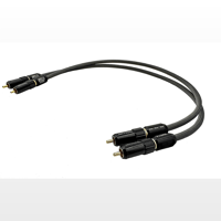 Tara Labs Apollo Extreme variant 2