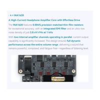 Cayin N6iii T201 variant 10