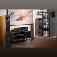 MartinLogan Motion XT F200 variant 1