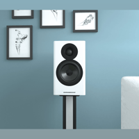 Acoustic Energy AE500 variant 8