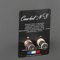 Davis Acoustics Courbet N°3 variant 16