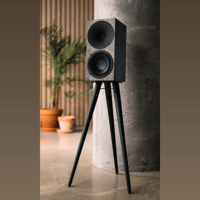 Buchardt Audio Anniversary 10 variant 23