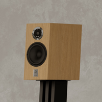 Marten Dexter Duo variant 7