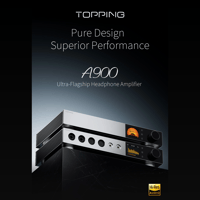 Topping A900 variant 1