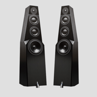 Totem Acoustic Wind variant 2