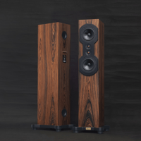 ThivanLabs S6 – V22 variant 5