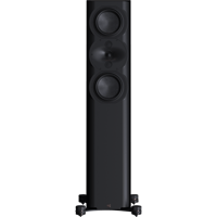 Perlisten R5t variant 3