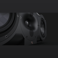 Perlisten S5c variant 4