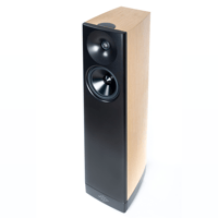 YG Acoustics Talus variant 4