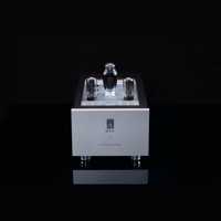 SW1x MPA IV “Aurora” Mono Power Amplifier variant 1