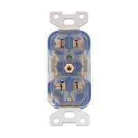 Pangea Audio Pangea Audio Premier SE AC Outlet Gold Plated Phosphorous – Blue variant 2