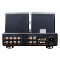 Cayin SC-6LS MK2 variant 4