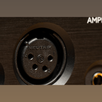 Violectric HPA V222 variant 5