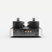 Fezz Audio Mira Ceti Mono Power Amplifier variant 24