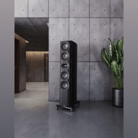 Perlisten S7t Black Edition variant 3