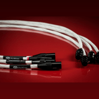 WyWires Interconnect Audio Cables Platinum Series variant 2