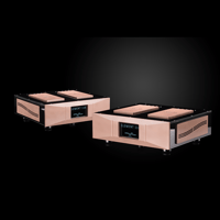 Merrill Audio Element 116 Power Amplifier Monoblocks variant 2