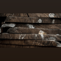 Sonus Faber Electa Amator III variant 7