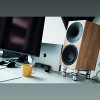 Buchardt Audio Anniversary 10 variant 30