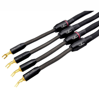 Tara Labs The Muse variant 1