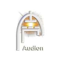 Audion International Logo