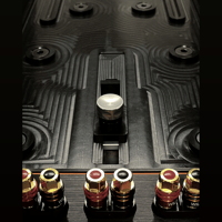 Wilson Audio Alexx V variant 6