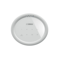 Yamaha MusicCast 20 variant 19