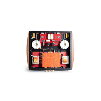 Mastersound Monoblock 845 (pair) variant 5