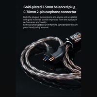 FiiO LS-2.5A/LS-2.5AS variant 5