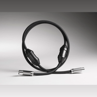 Shunyata Research SIGMA-X AES | S/PDIF | Clock variant 1