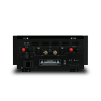 Quad Artera Stereo variant 4