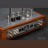 ThivanLabs Eagle 845 variant 6