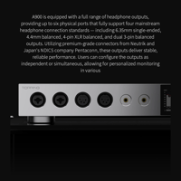 Topping A900 variant 7