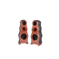 Zingali Acoustics Evo Client 3.12 variant 1