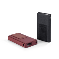 Astell & Kern PD10 Case variant 1