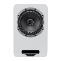 Fyne Audio Cubitt 5 variant 17