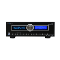 Cary Audio SI-300.2d Integrated Amplifier variant 2